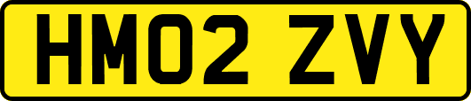 HM02ZVY
