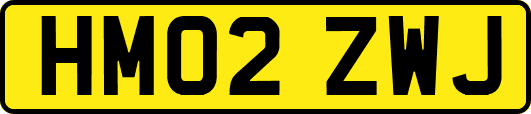 HM02ZWJ