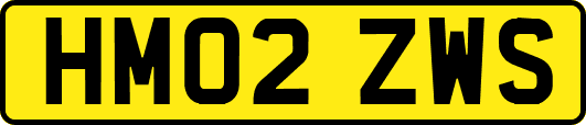 HM02ZWS