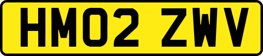 HM02ZWV