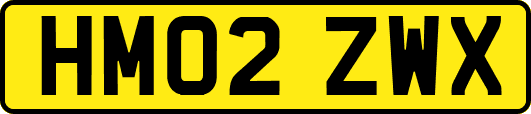 HM02ZWX