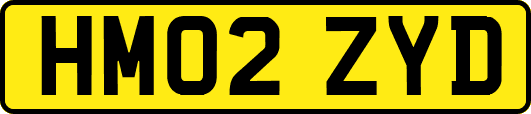 HM02ZYD