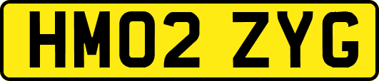 HM02ZYG