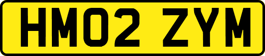 HM02ZYM