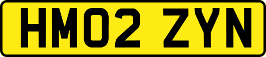 HM02ZYN