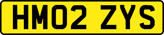 HM02ZYS