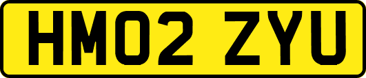 HM02ZYU