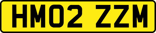 HM02ZZM