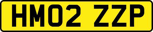 HM02ZZP