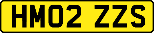 HM02ZZS