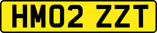 HM02ZZT