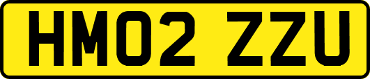 HM02ZZU