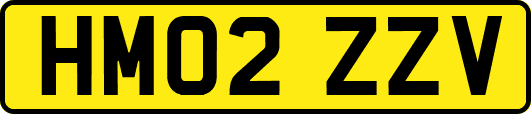 HM02ZZV