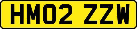 HM02ZZW