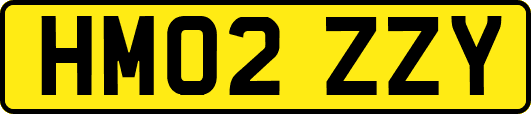 HM02ZZY