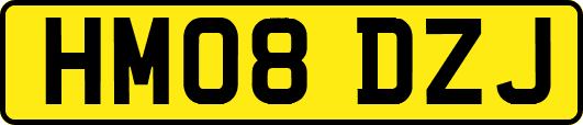 HM08DZJ