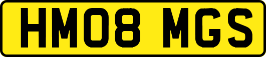 HM08MGS