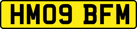 HM09BFM