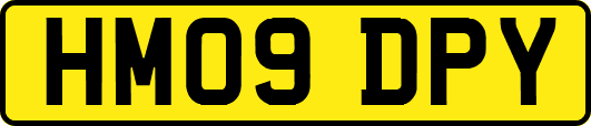 HM09DPY