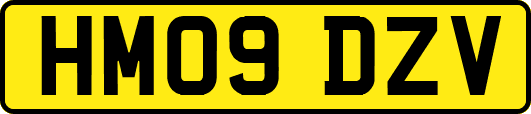 HM09DZV