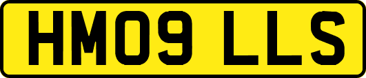 HM09LLS