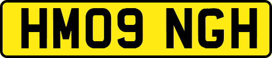 HM09NGH