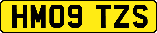 HM09TZS