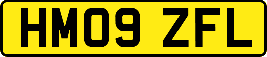 HM09ZFL