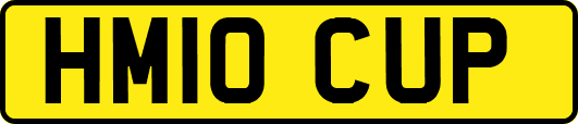 HM10CUP
