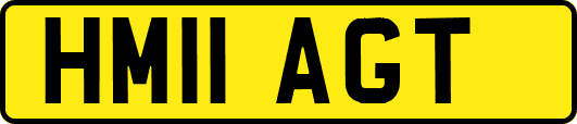 HM11AGT