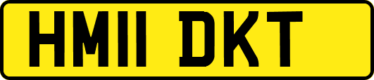 HM11DKT