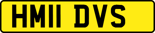 HM11DVS