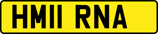 HM11RNA