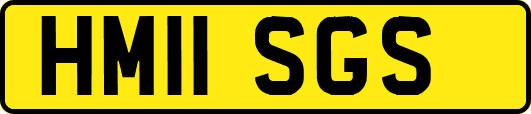 HM11SGS