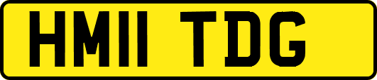 HM11TDG