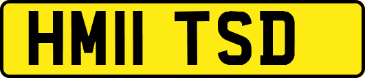 HM11TSD