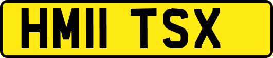 HM11TSX