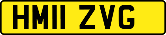 HM11ZVG