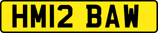 HM12BAW