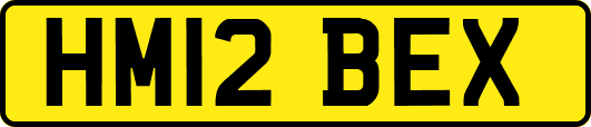 HM12BEX