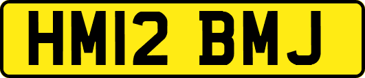 HM12BMJ