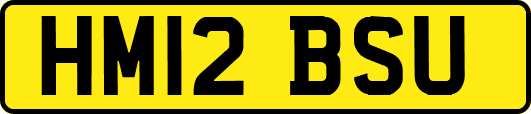 HM12BSU