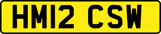 HM12CSW