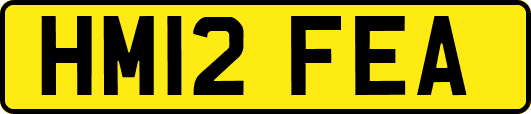 HM12FEA