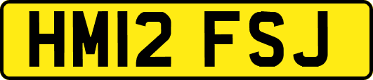 HM12FSJ