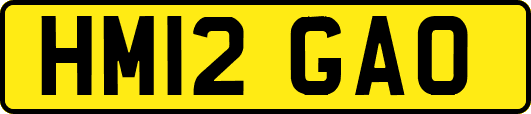 HM12GAO