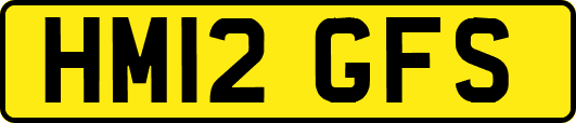 HM12GFS