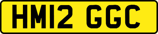 HM12GGC