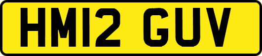 HM12GUV
