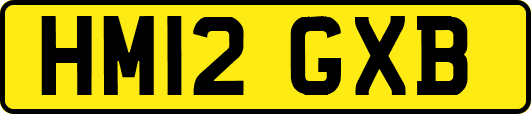 HM12GXB